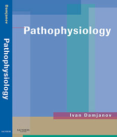Elsevier