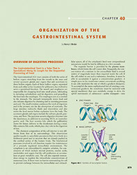 Elsevier